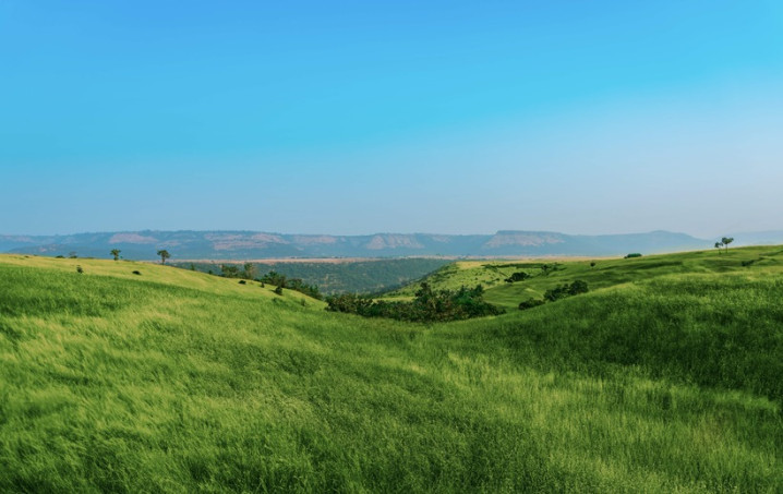 Rustomjee Belle Vie Kasara